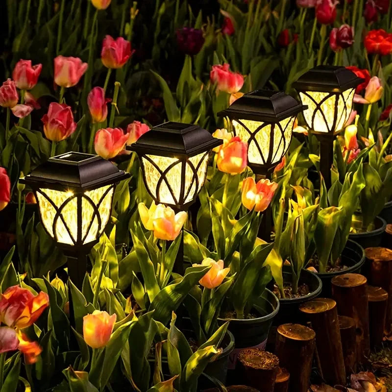 6piece LED solar lamp