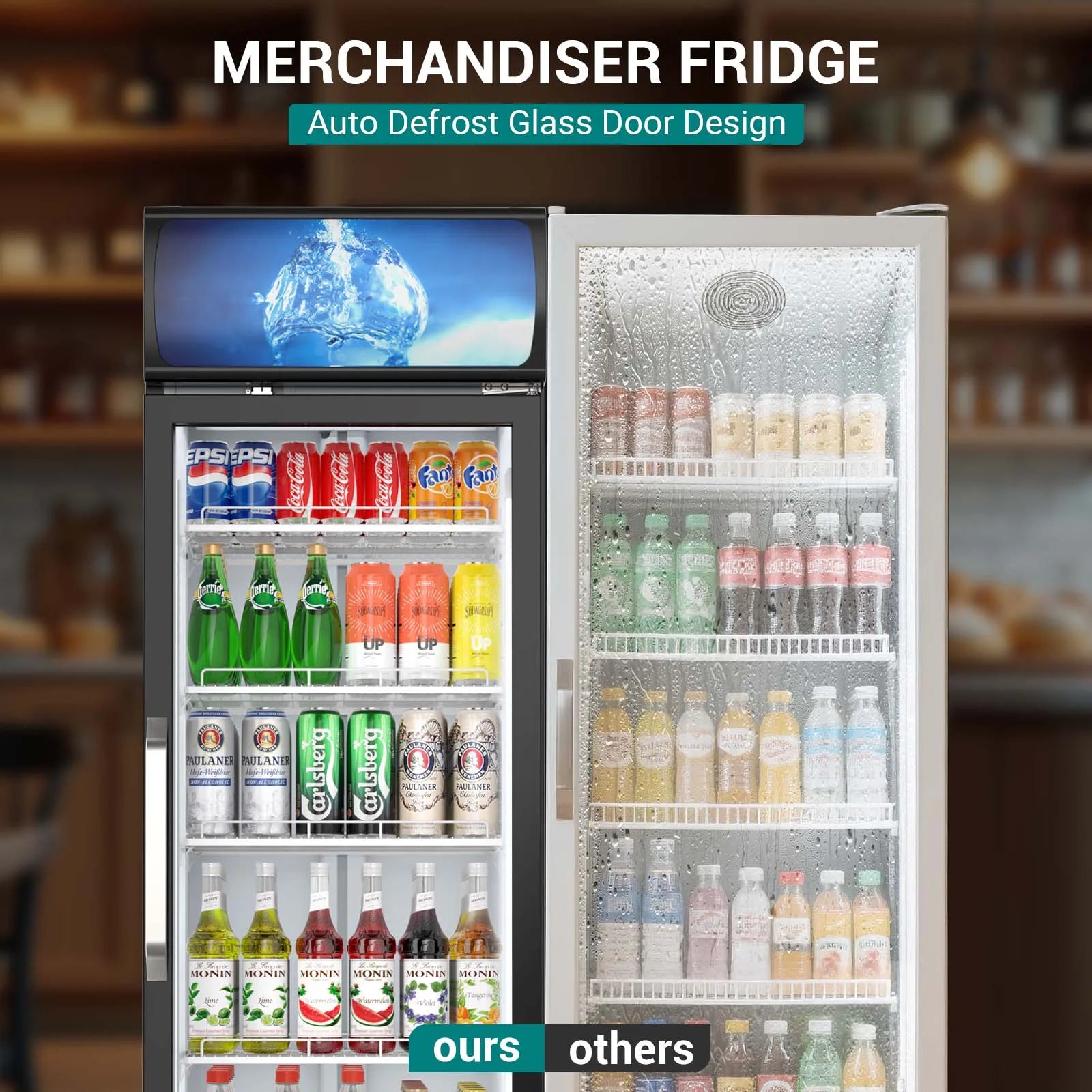 14.8 CF Commercial Merchandiser Refrigerator Glass Door