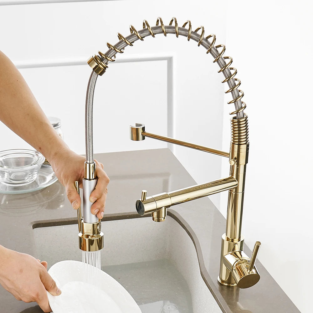 Gold Single Pull Out Spring Spout Mixers
