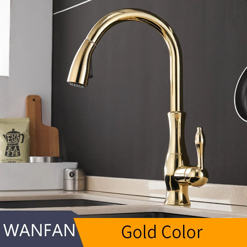 Black Silver Single Handle Pull Out Tap