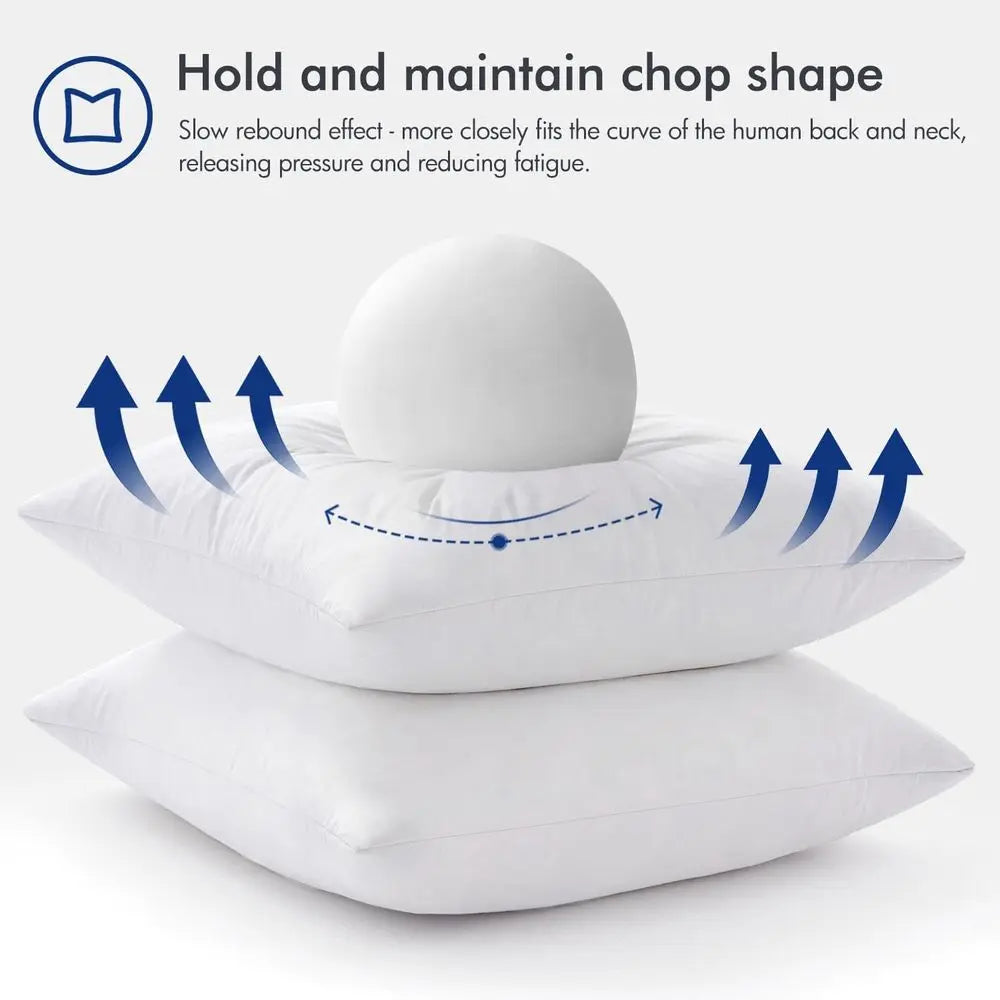 2 26x26 Euro Pillow Insert Down