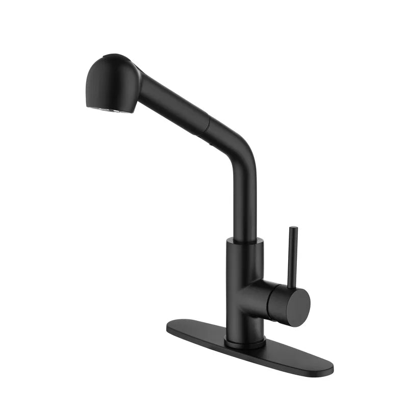 Matte Black Single Handle Faucet