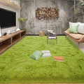 6x9 Fluffy Large Modern Shag