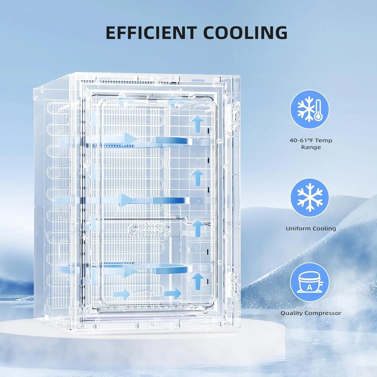 24 Can Beverage Refrigerator Quiet