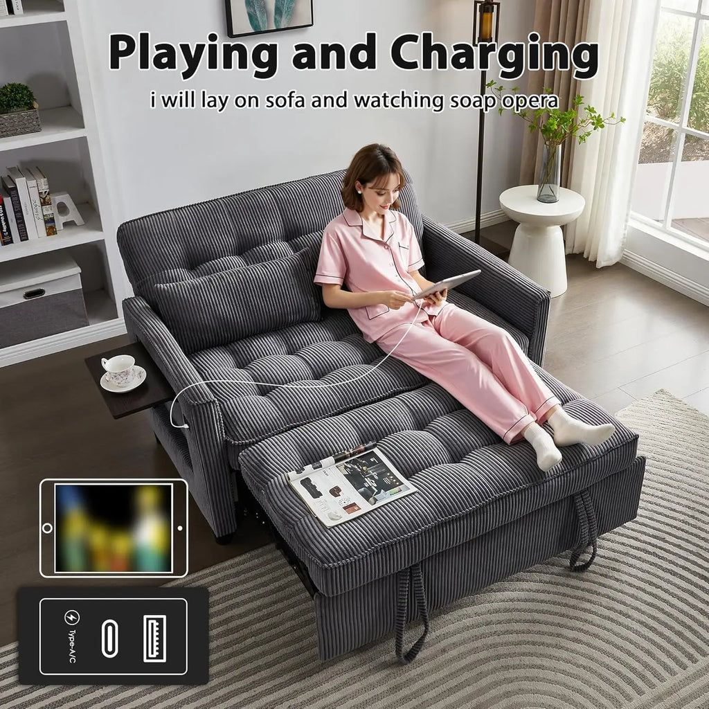 55: Sleeper Sofa Bed