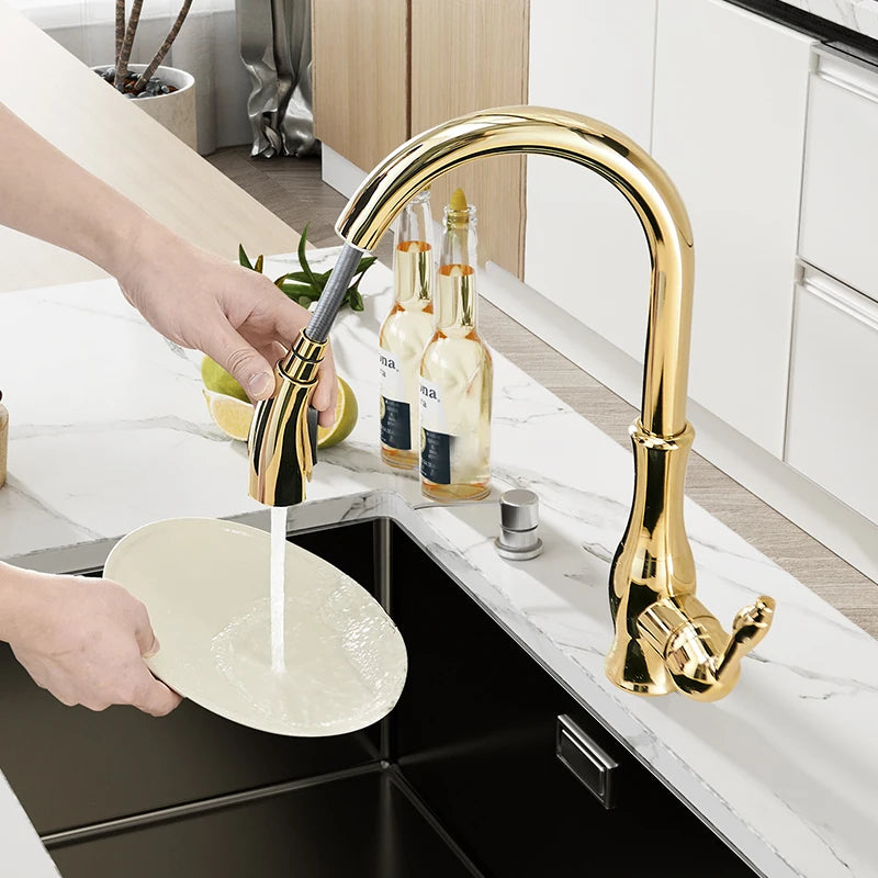 Black Silver Single Handle Pull Out Tap