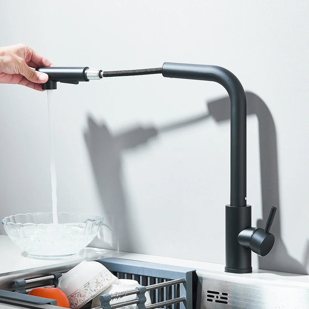 Black Pull Out Two Model Stream Sprayer