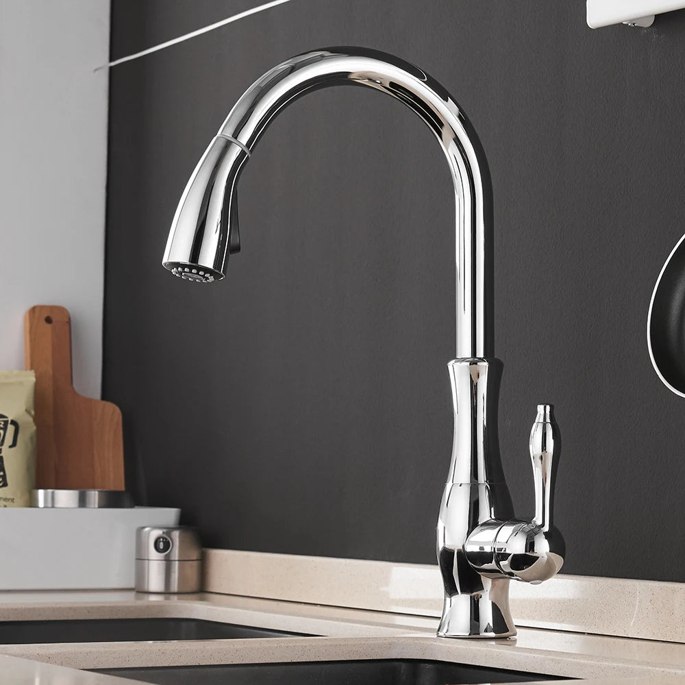 Black Silver Single Handle Pull Out Tap