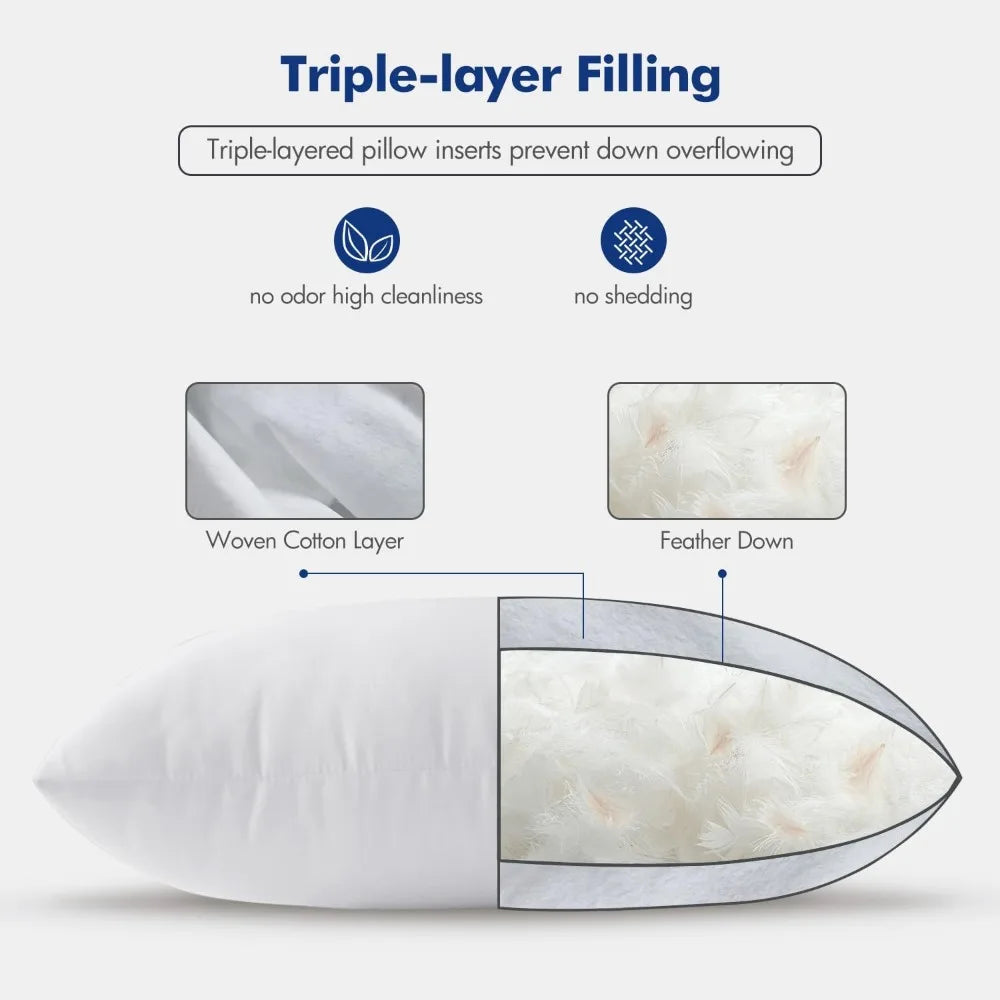2 Down Feather Throw Pillows