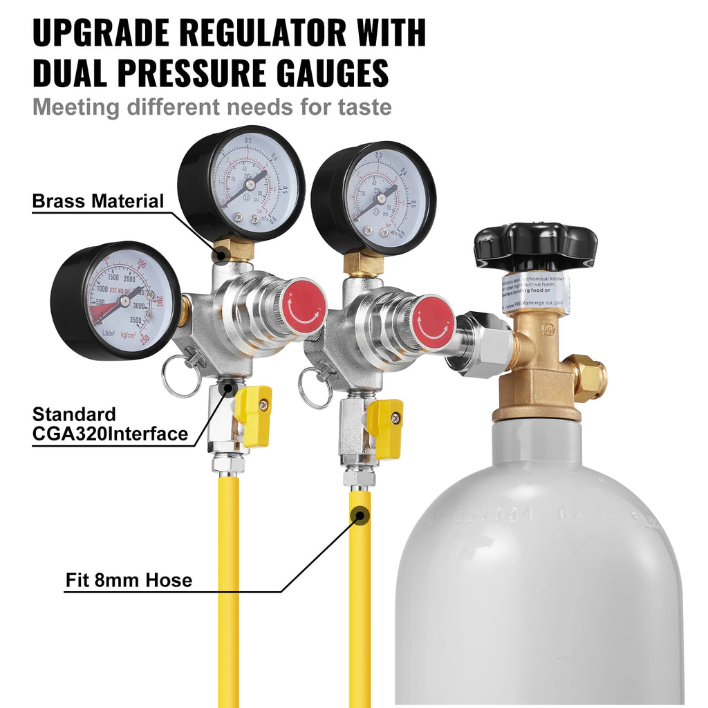 CO2 Regulator Dual Triple Gauges with Check Valve