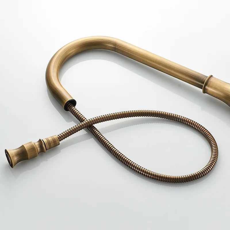 Antique Pull Out Spray Single Handle