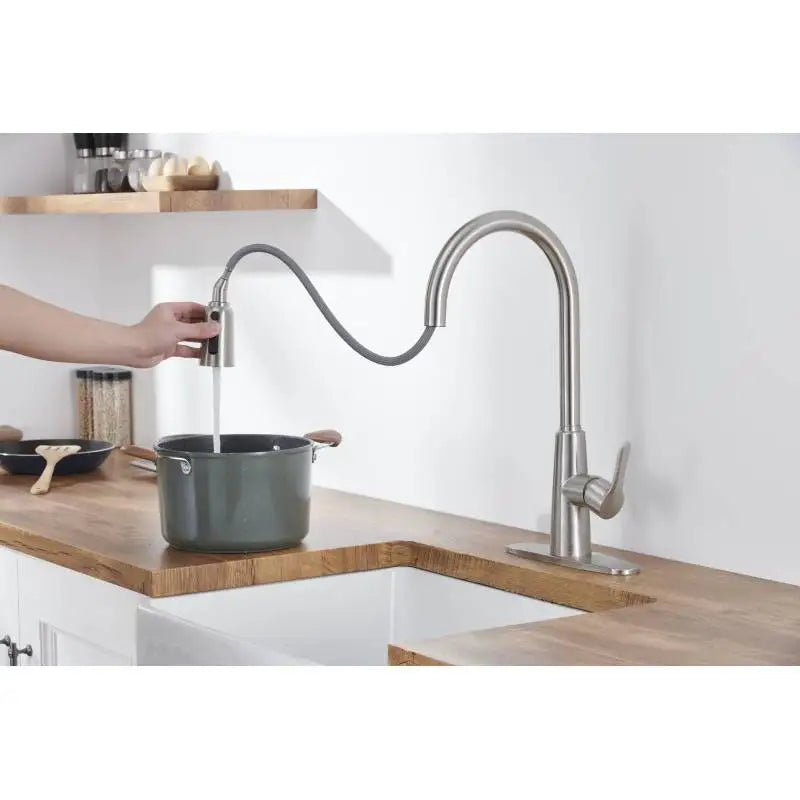 Faucet Pull Out Sprayer Brushed Nicklel
