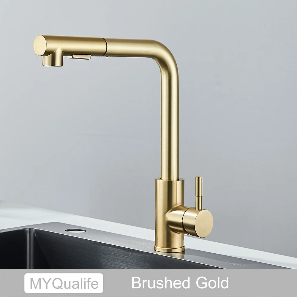 Black Pull Out Two Stream Sprayer Stainless