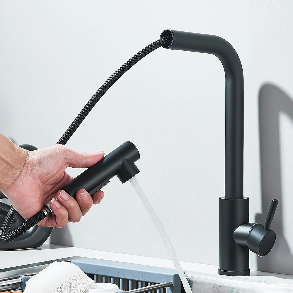 Black Pull Out Two Model Stream Sprayer