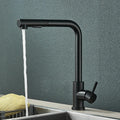 Black 360° Rotation Stream Sprayer Stainless