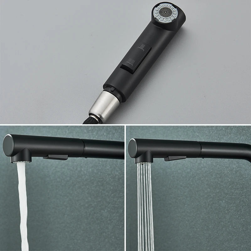 Black 360° Rotation Stream Sprayer