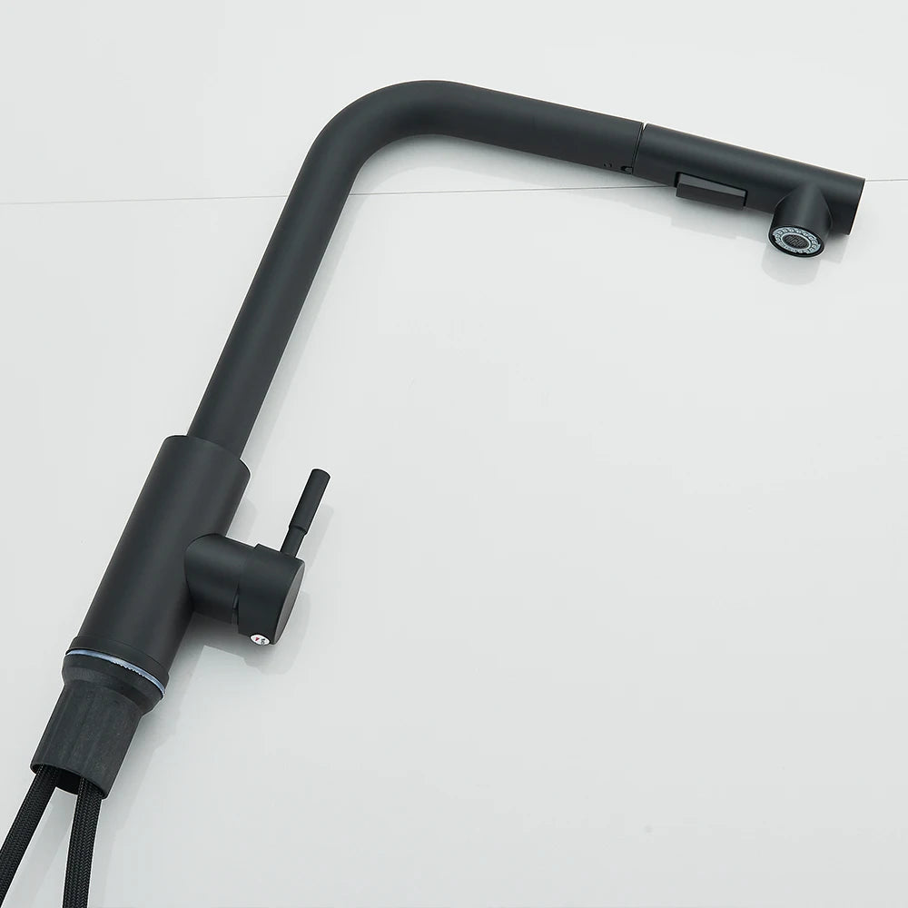 Black Pull Out Two Model Stream Sprayer