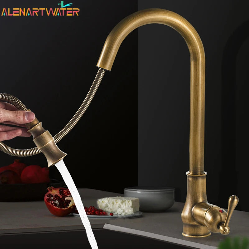 Antique Pull Out Spray Single Handle