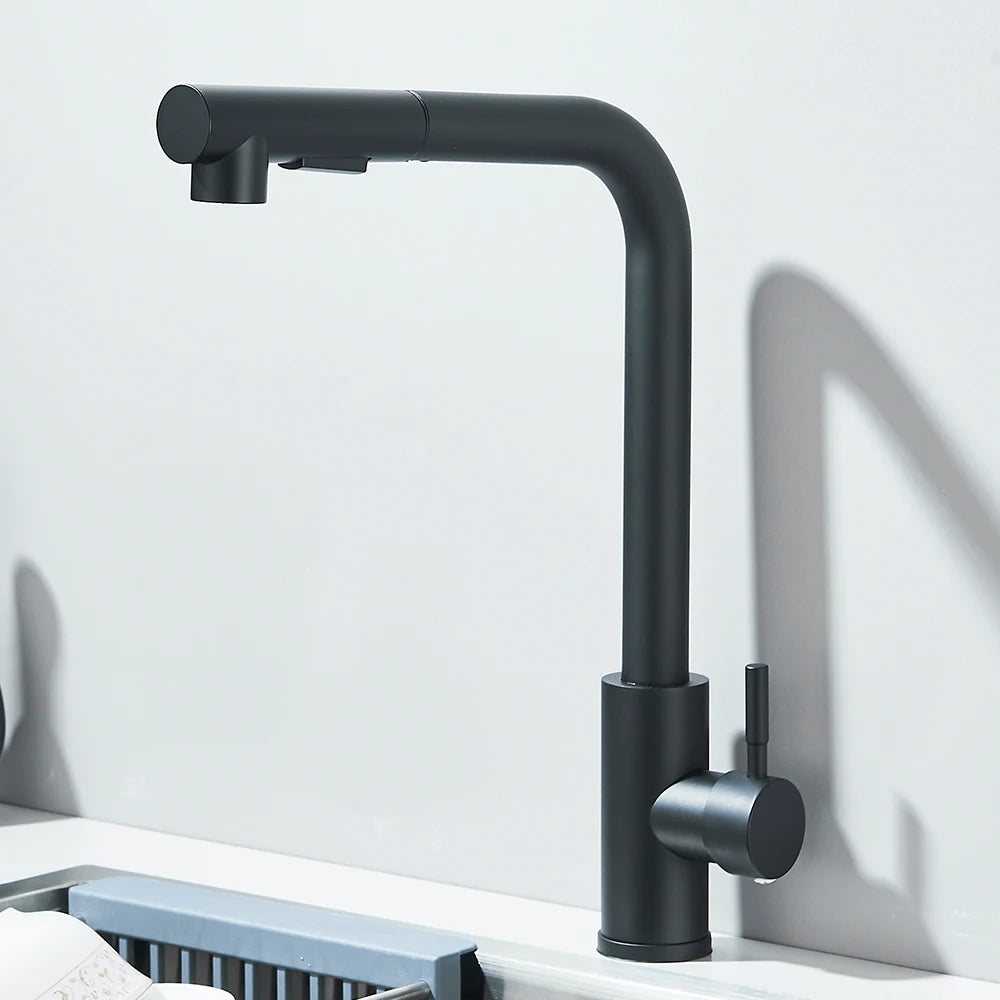 Black Pull Out Two Model Stream Sprayer