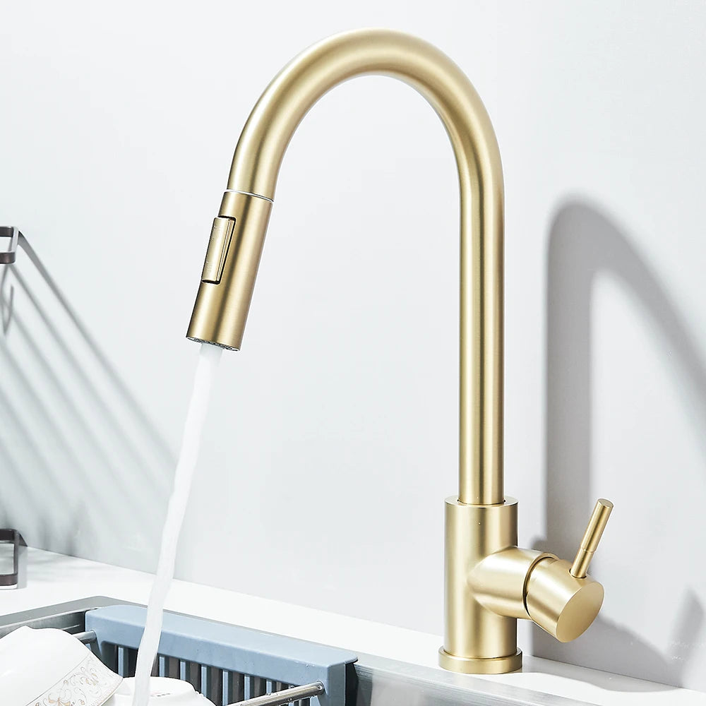 Pull Out 2-Ways Stream Sprayer
