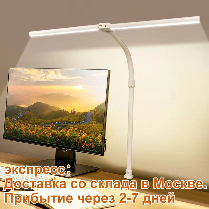 Double Head LED desk Lamp