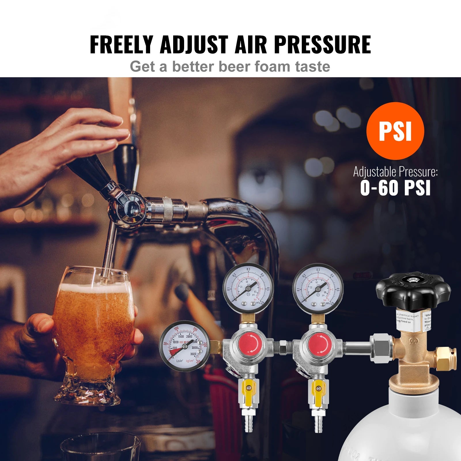 CO2 Regulator Dual Triple Gauges with Check Valve