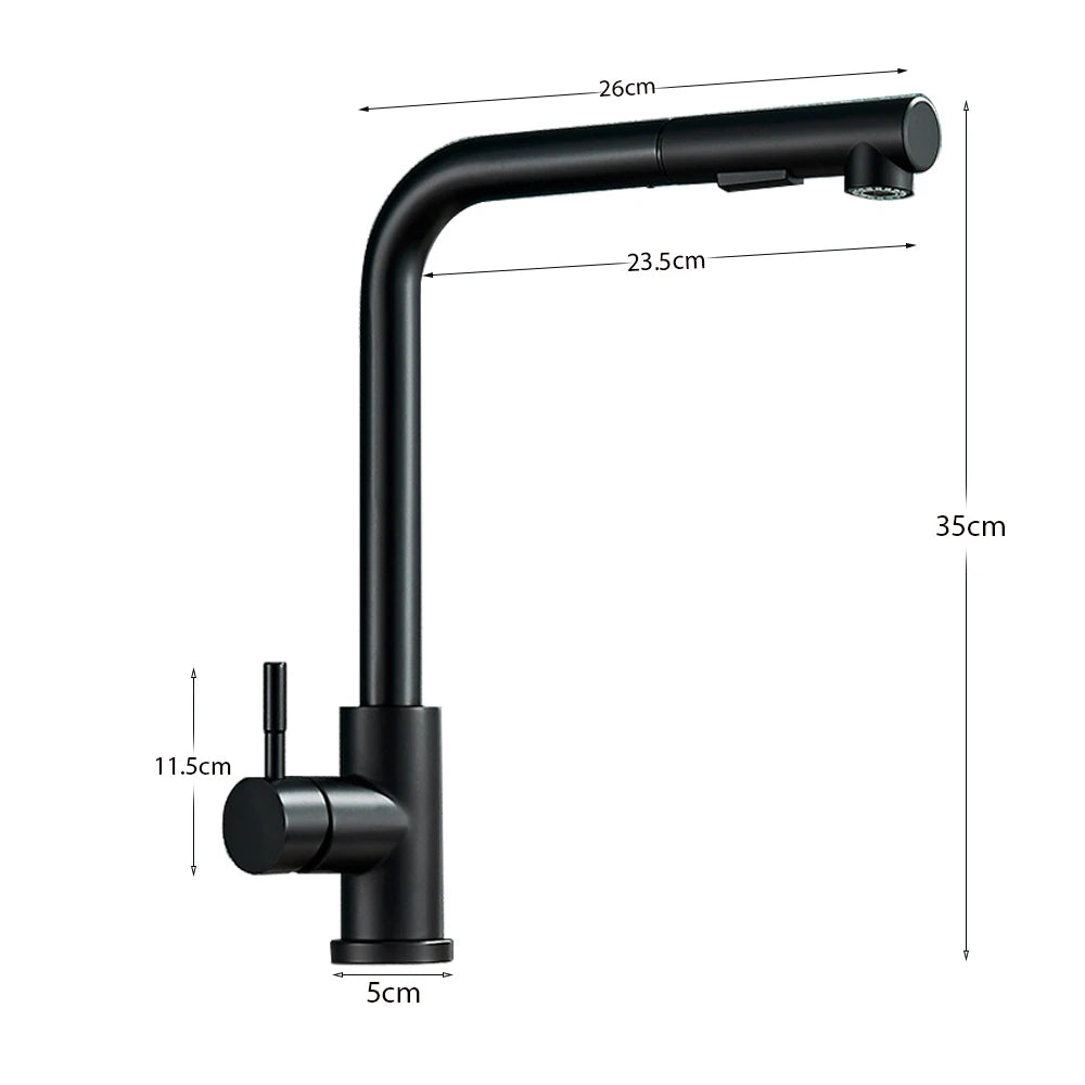 Black Pull Out Two Stream Sprayer Stainless