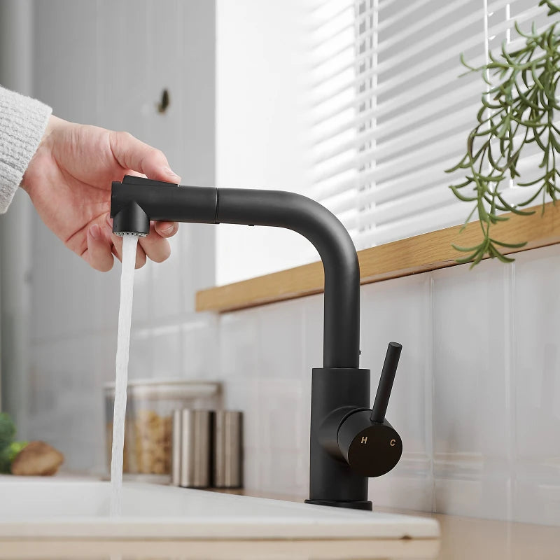 Black Faucets Pull out Sprayer