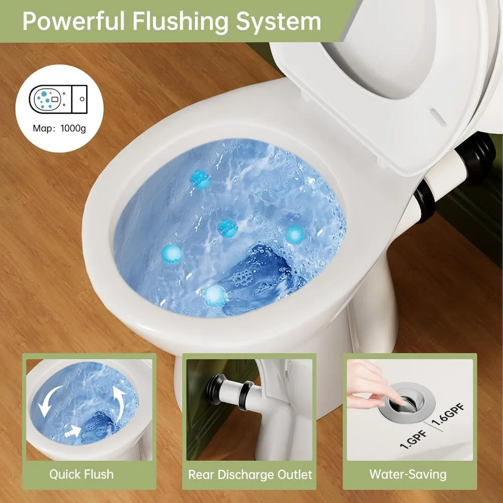 Toilet Project Rear Discharge