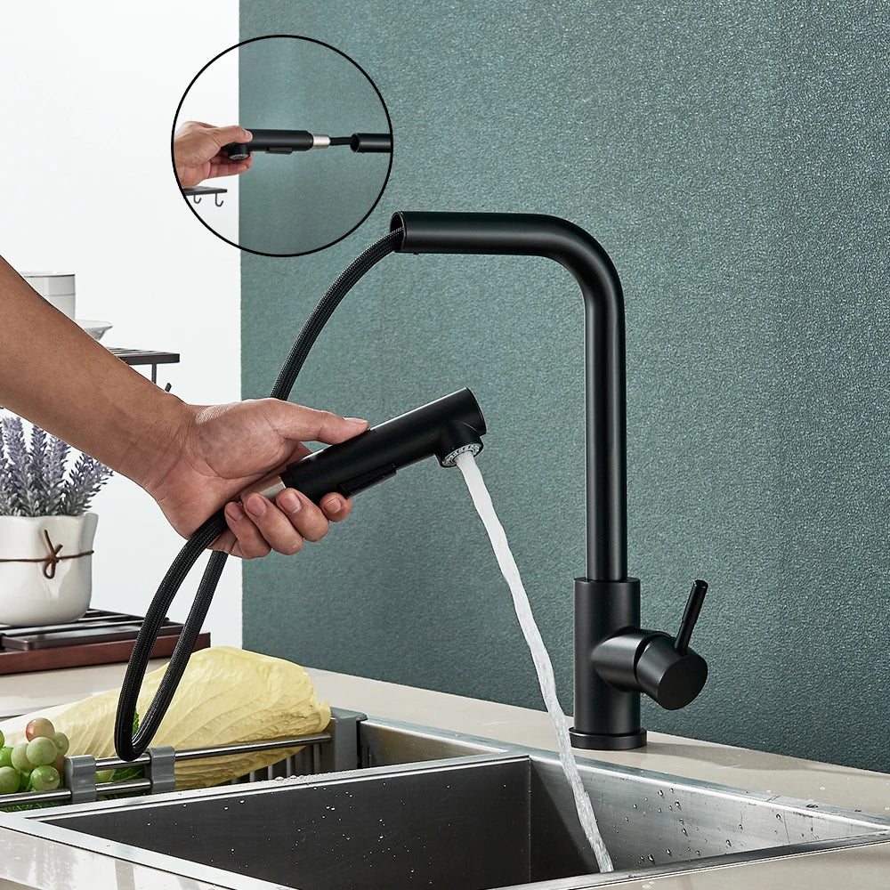 Black Pull Out Two Stream Sprayer Stainless