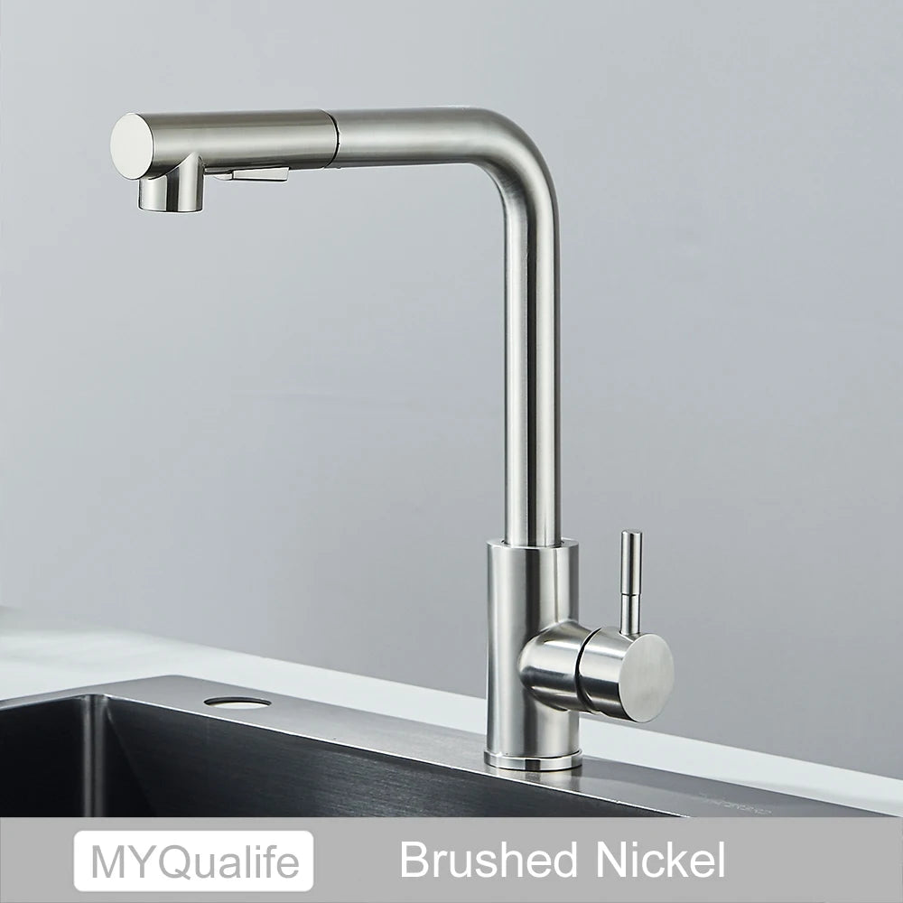 Black Pull Out Two Stream Sprayer Stainless