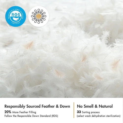 2 Down Feather Pillow Inserts 22x22