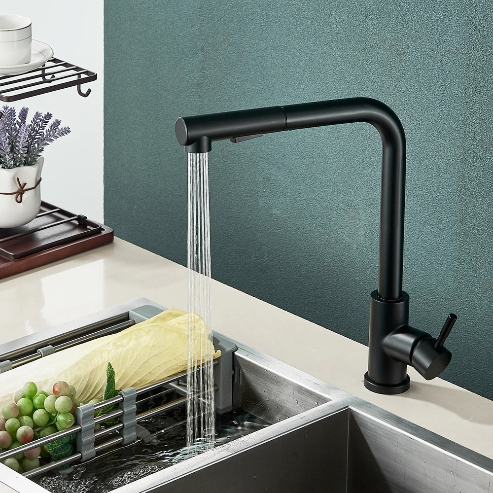 Black Pull Out Two Stream Sprayer Stainless