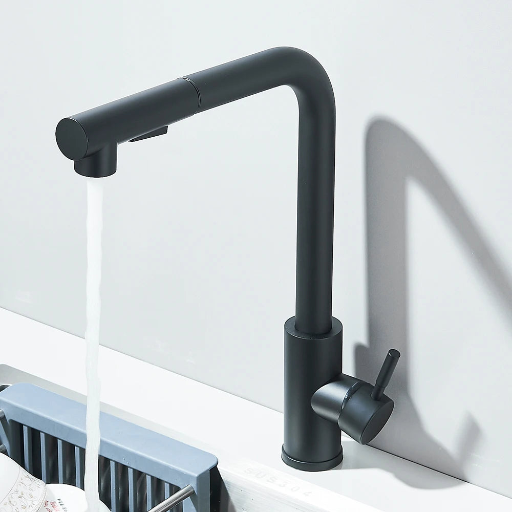 Black Pull Out Two Model Stream Sprayer