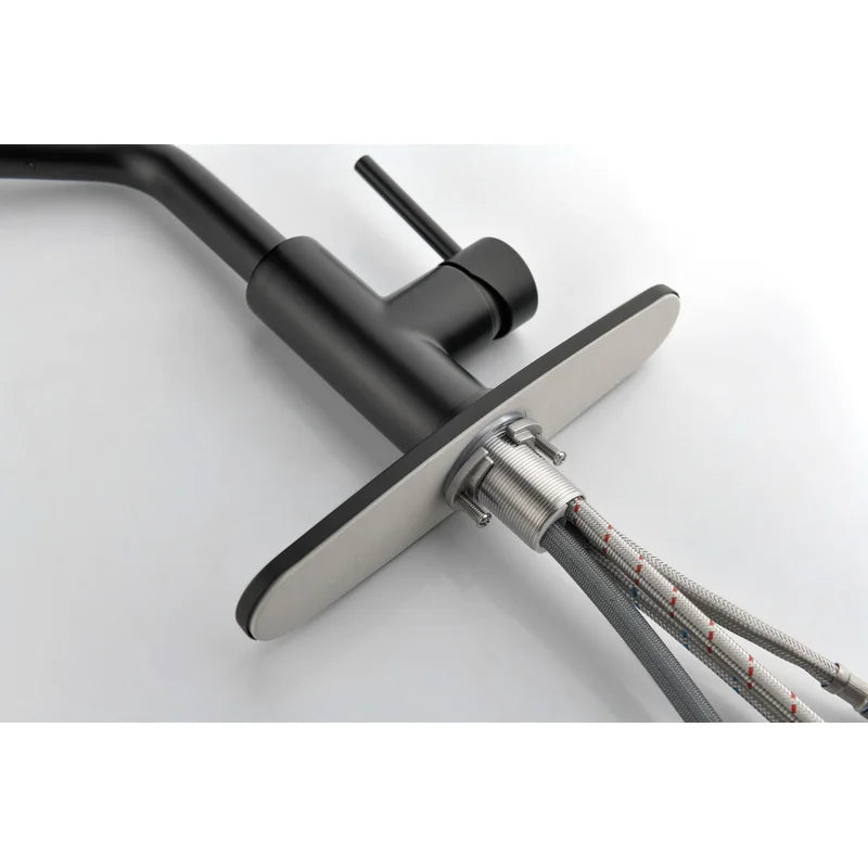Matte Black Single Handle Faucet