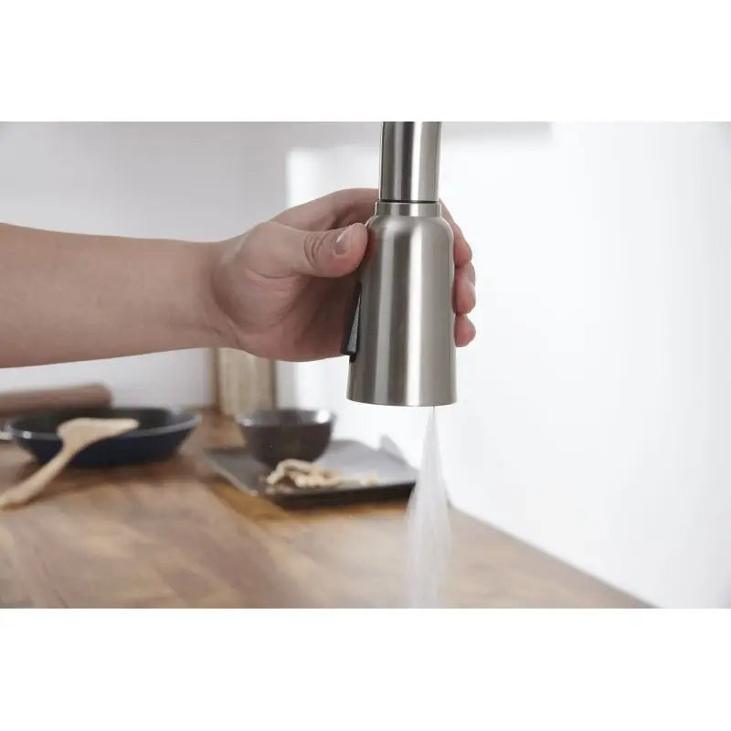 Faucet Pull Out Sprayer Brushed Nicklel