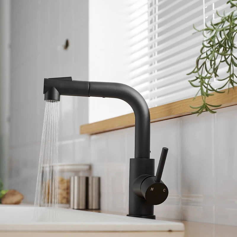 Black Faucets Pull out Sprayer