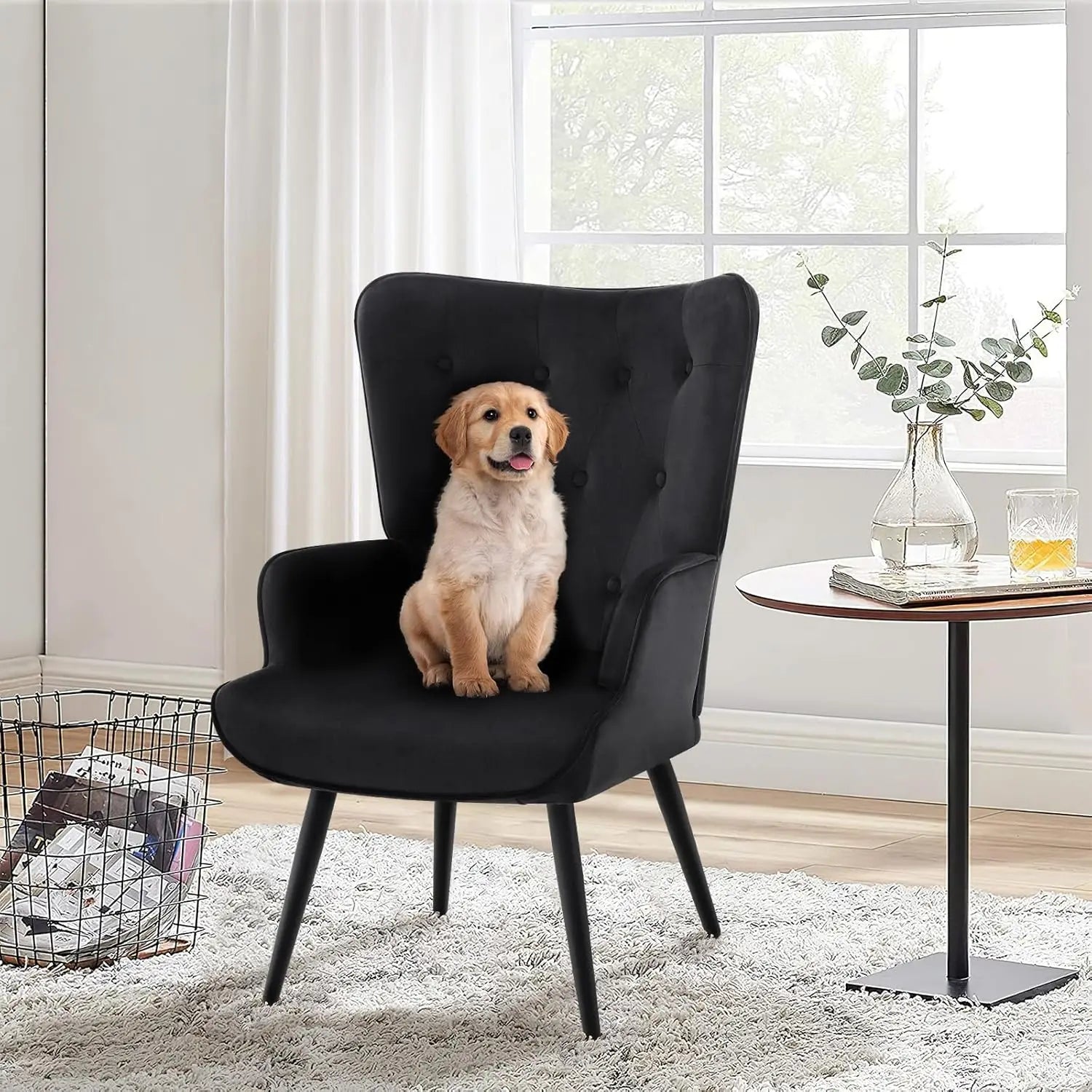 2 Black Velvet w/ High Wingback