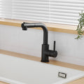 Black Faucets Pull out Sprayer