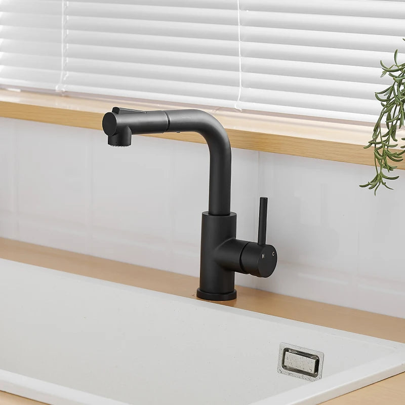 Black Faucets Pull out Sprayer