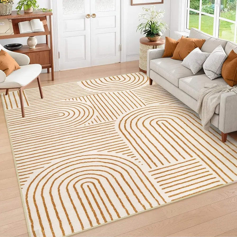 Washable Area Rug 5X7, Geometric