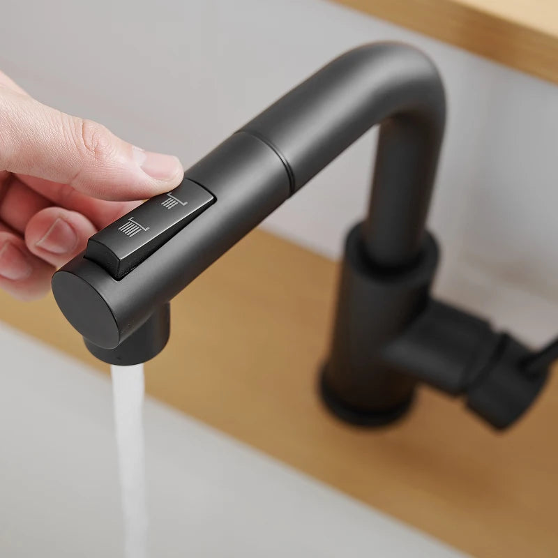 Black Faucets Pull out Sprayer