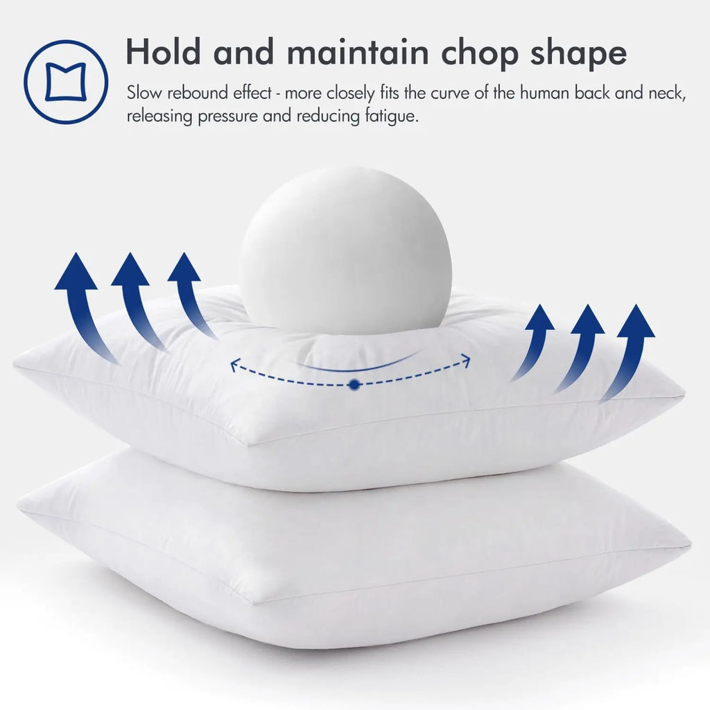 2 Down Feather Pillow Inserts 22x22