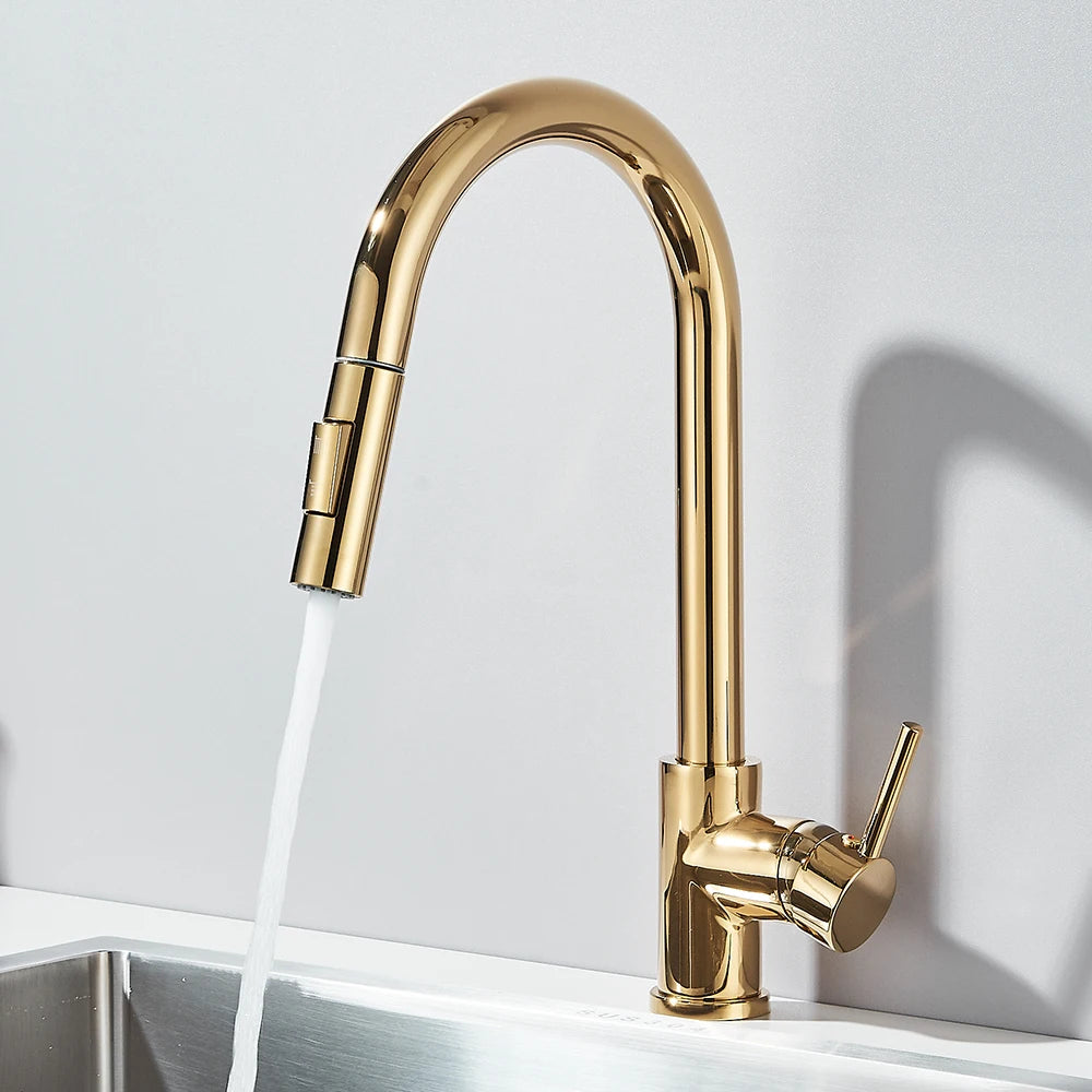 Pull Out 2-Ways Stream Sprayer