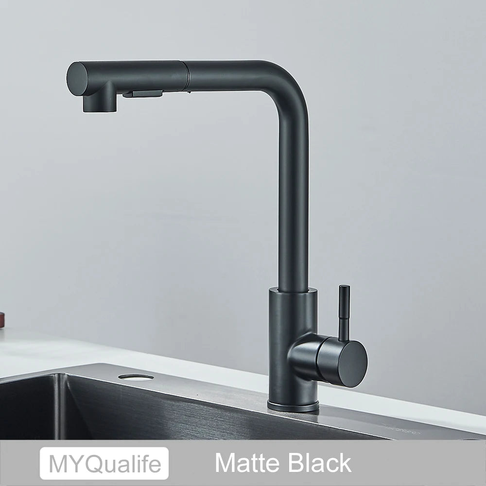 Black Pull Out Two Stream Sprayer Stainless