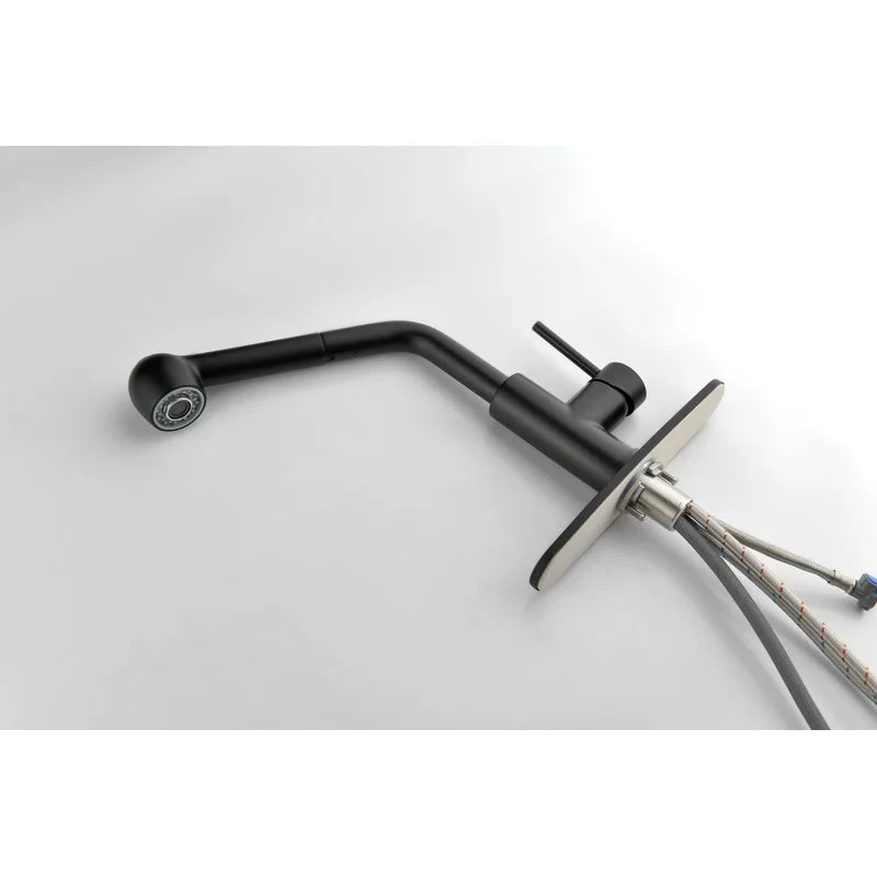 Matte Black Single Handle Faucet
