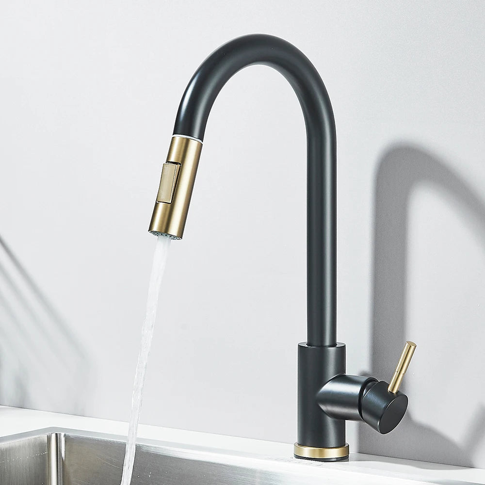 Pull Out 2-Ways Stream Sprayer