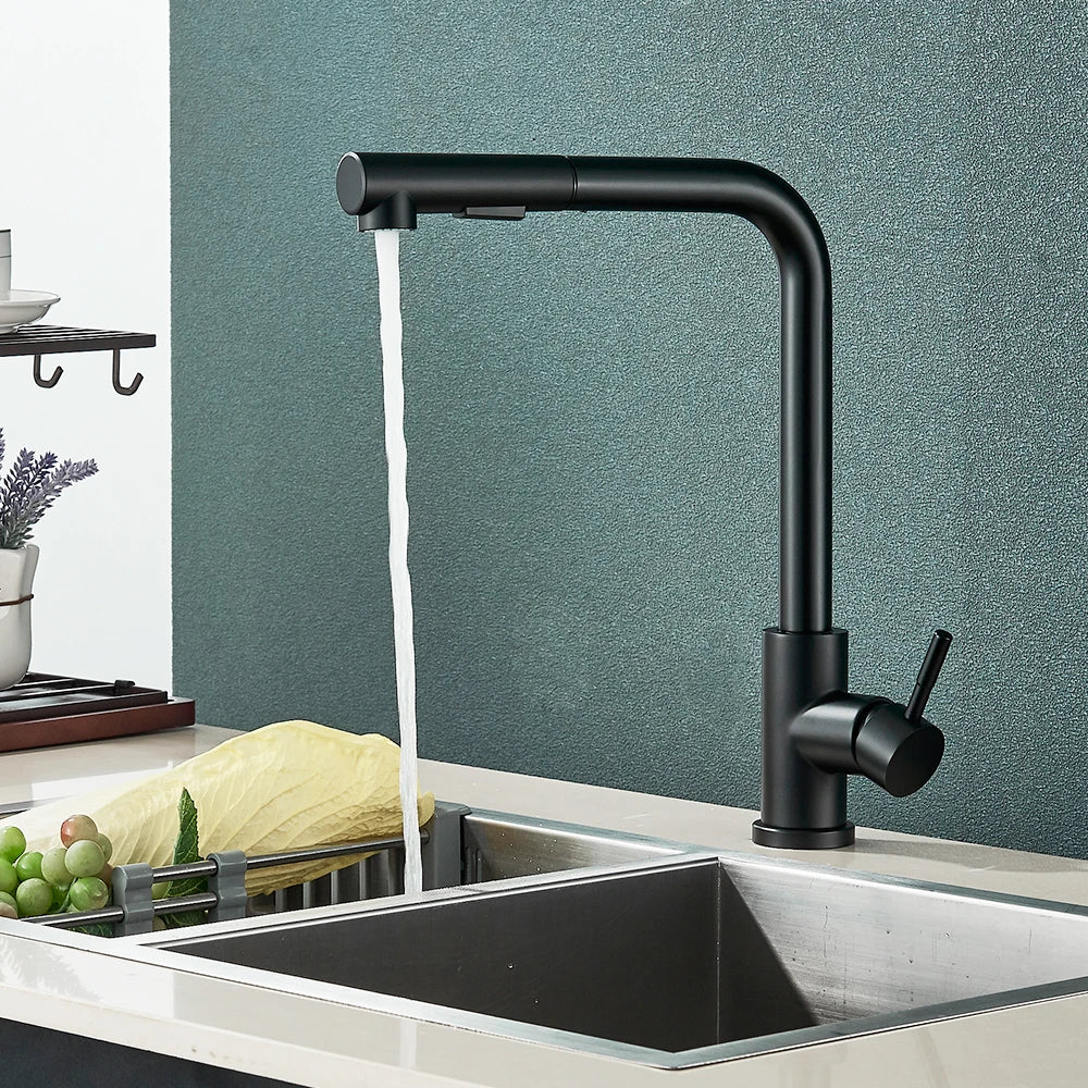 Black Pull Out Two Stream Sprayer Stainless