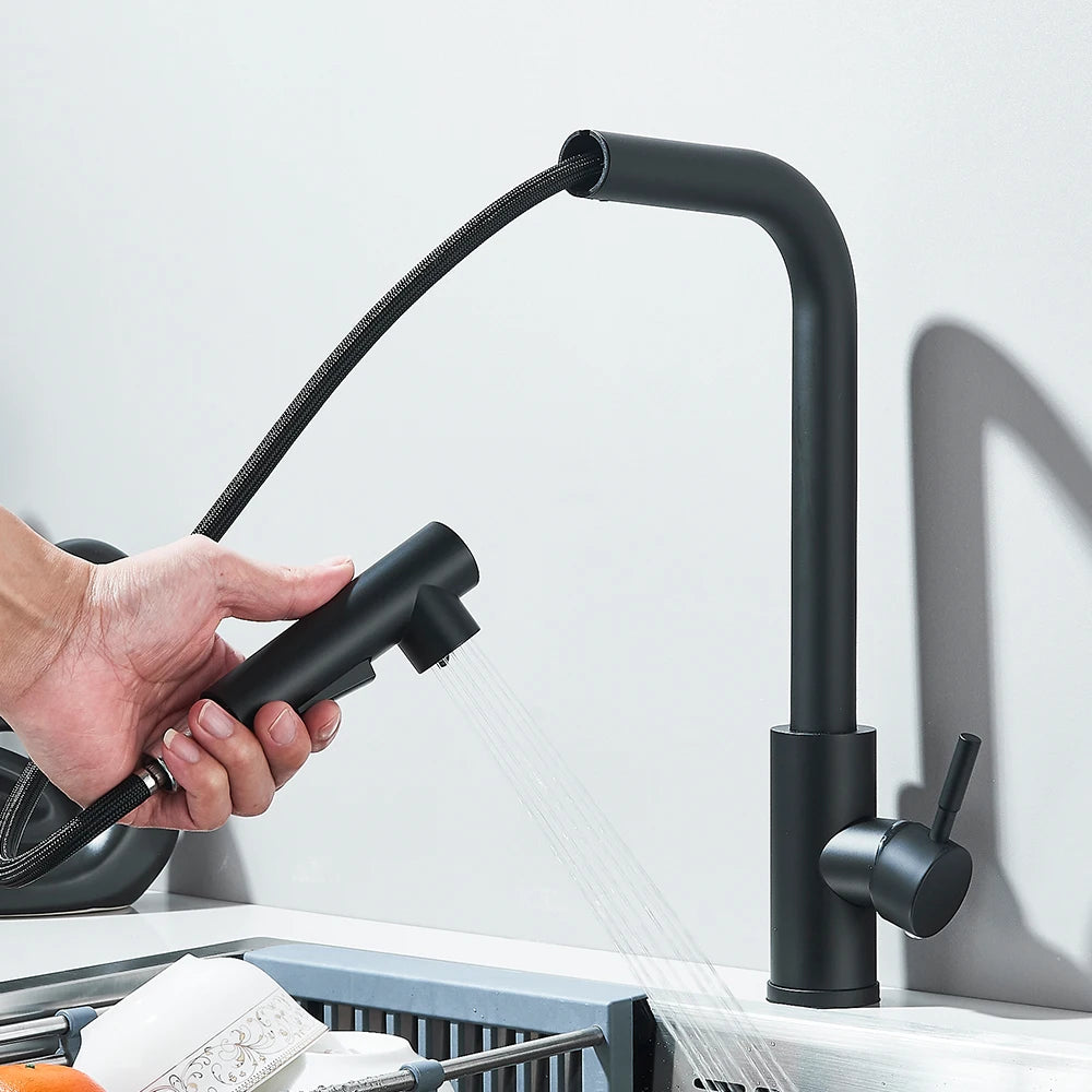 Black Pull Out Two Model Stream Sprayer