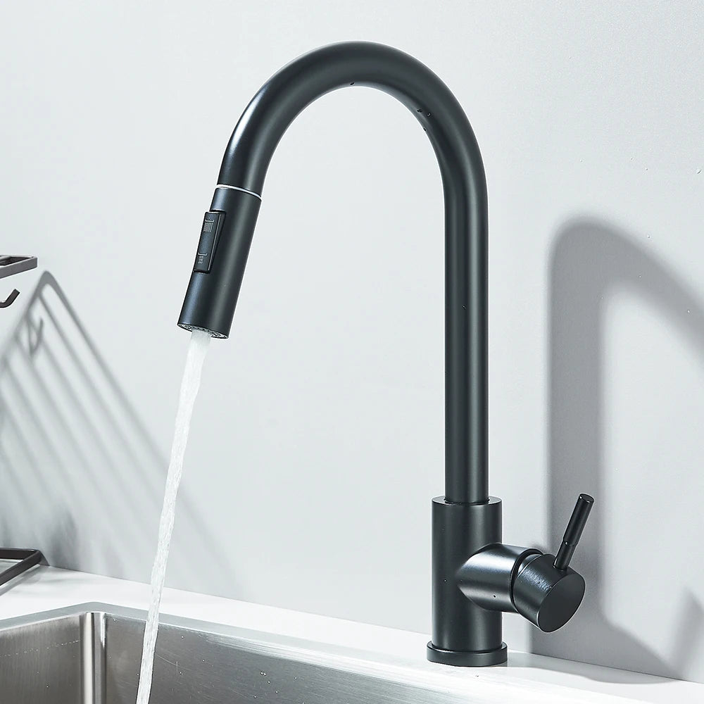 Pull Out 2-Ways Stream Sprayer
